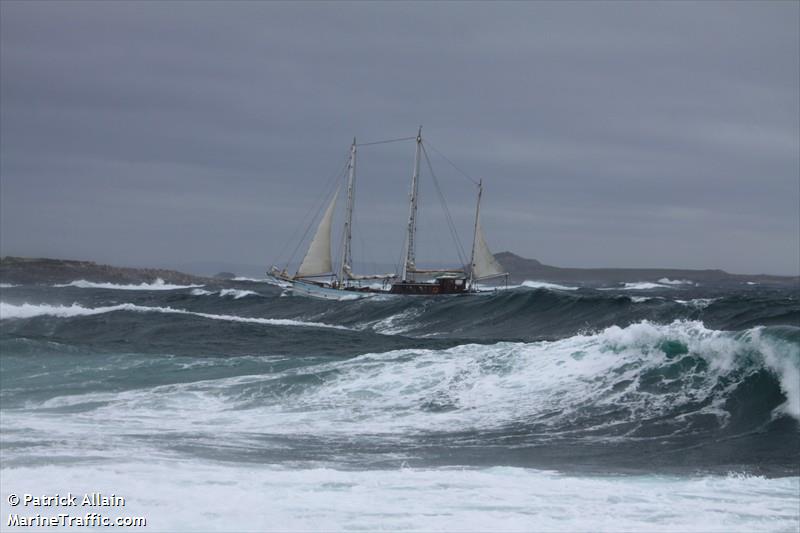 rara avis (Unknown) - IMO , MMSI 227536950, Call Sign FO5984 under the flag of France