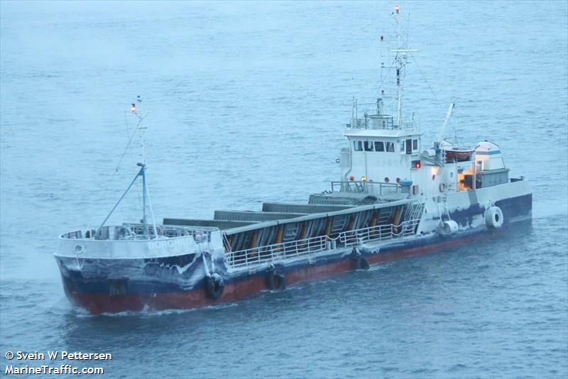 borghild (Deck Cargo Ship) - IMO 8857136, MMSI 251848270, Call Sign TFBQ under the flag of Iceland