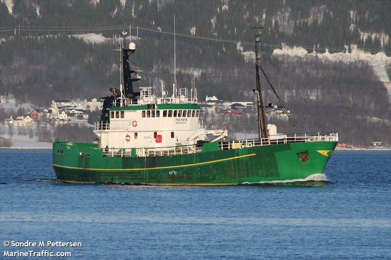polynya (Fishing Vessel) - IMO 6815720, MMSI 258274000, Call Sign LAIZ under the flag of Norway