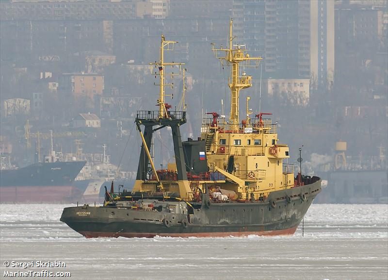 neptunia (Tug) - IMO 7829883, MMSI 273354180, Call Sign UAYS under the flag of Russia