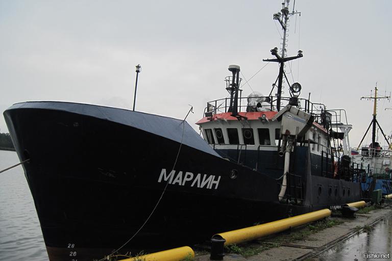 marlin (Fishing vessel) - IMO , MMSI 273355510 under the flag of Russia