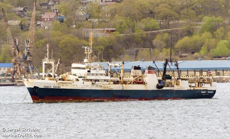 pavel panin (Fish Factory Ship) - IMO 7703998, MMSI 273511900, Call Sign  UAYX under the flag of Russia