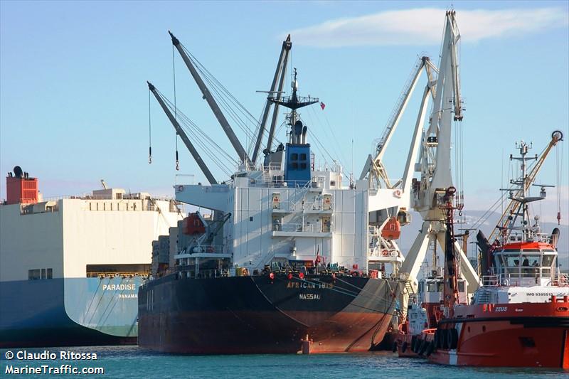 african ibis (Bulk Carrier) - IMO 9295579, MMSI 311007700, Call Sign C6XF8 under the flag of Bahamas