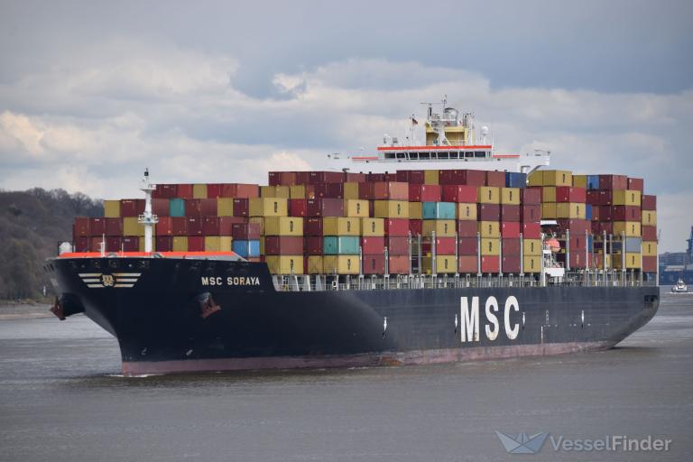 msc soraya (Container Ship) - IMO 9372494, MMSI 370271000, Call Sign 3ESD8 under the flag of Panama