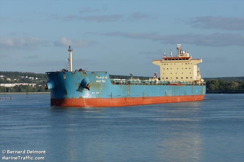 wadi tiba (Bulk Carrier) - IMO 9460746, MMSI 622121409, Call Sign 6AGU under the flag of Egypt