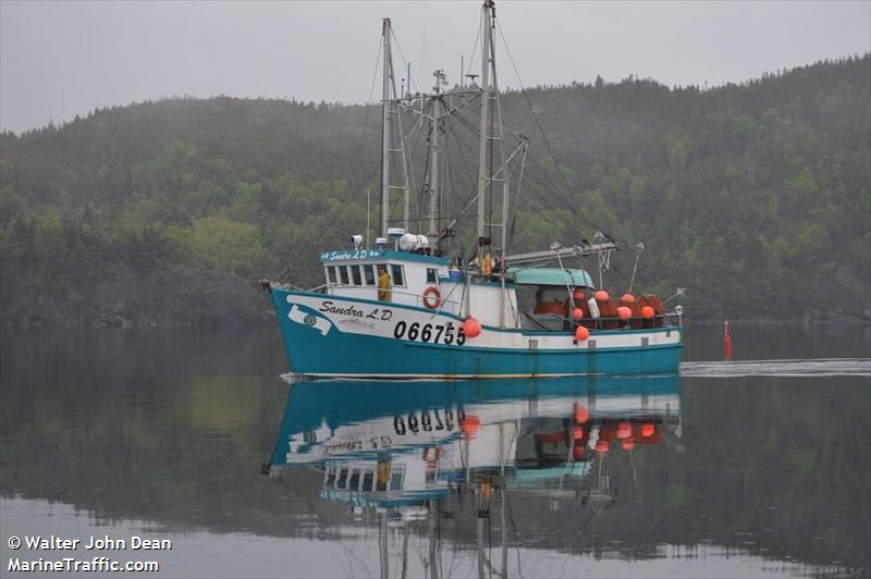 sandra l d (Fishing vessel) - IMO , MMSI 316008470, Call Sign VC9273 under the flag of Canada
