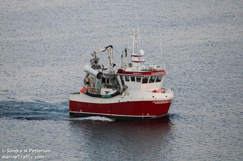 straumvaering (Fishing vessel) - IMO , MMSI 258009430, Call Sign LH4562 under the flag of Norway