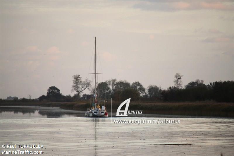 arbutus (Sailing vessel) - IMO , MMSI 227210880, Call Sign FP8386 under the flag of France