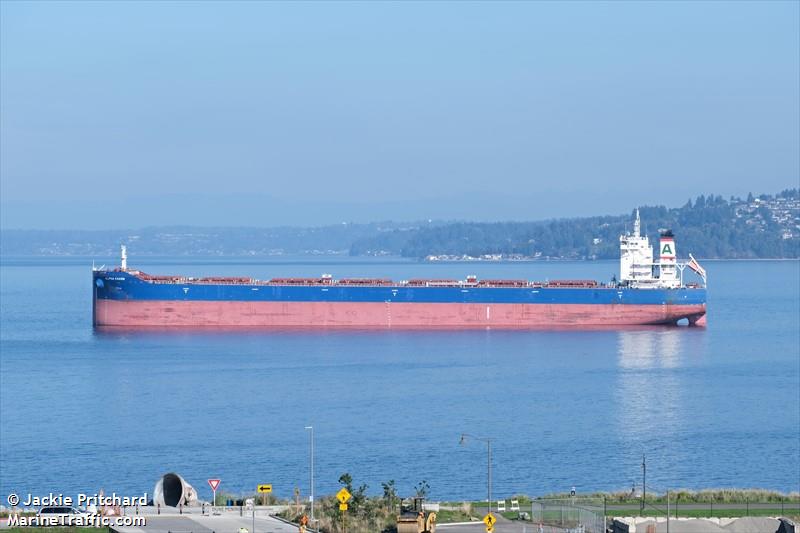 alpha charm (Bulk Carrier) - IMO 9827516, MMSI 241626000, Call Sign SVDB5 under the flag of Greece