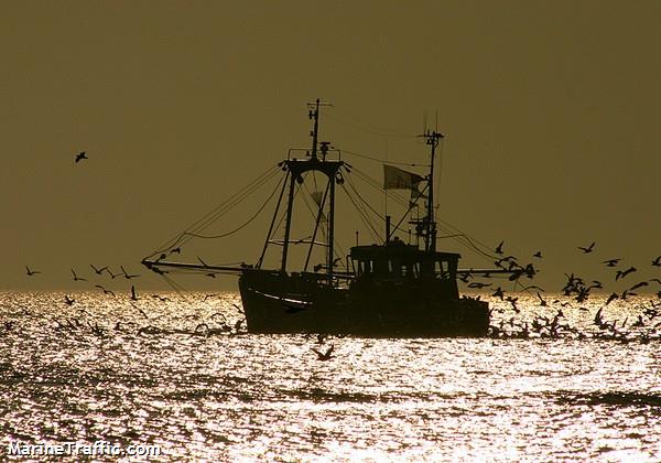 hk81 hannah (Fishing Vessel) - IMO 8432106, MMSI 244684000, Call Sign PDNF under the flag of Netherlands