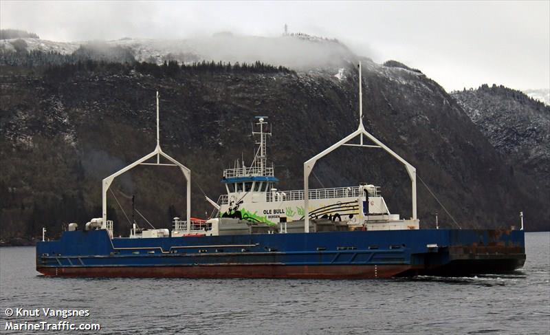 ole bull (Passenger/Ro-Ro Cargo Ship) - IMO 9081954, MMSI 259188000, Call Sign LMNU under the flag of Norway