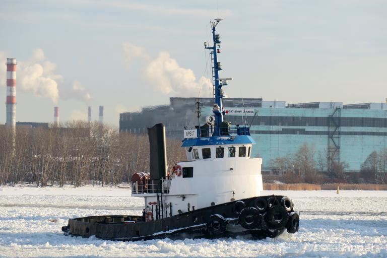 brest (Tug) - IMO 7523283, MMSI 273331690, Call Sign UBRK2 under the flag of Russia