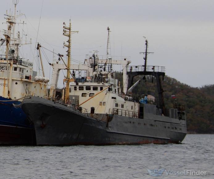 bilene (Fishing Vessel) - IMO 8881773, MMSI 273845310, Call Sign UCXY under the flag of Russia