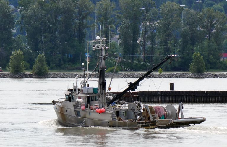 pacific viking (Fishing vessel) - IMO , MMSI 316007587, Call Sign CFC4341 under the flag of Canada