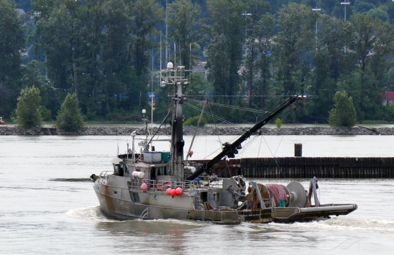 pacific viking (Unknown) - IMO , MMSI 316007587, Call Sign CFC4341 under the flag of Canada