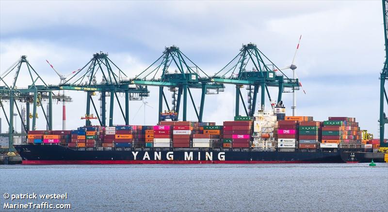 ym essence (Container Ship) - IMO 9496599, MMSI 416491000, Call Sign BLHO under the flag of Taiwan