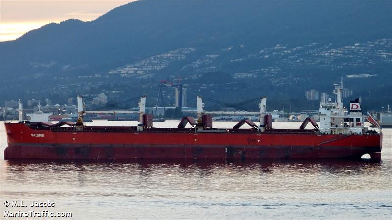 flc wealth (Bulk Carrier) - IMO 9427897, MMSI 477151300, Call Sign VRRN3 under the flag of Hong Kong