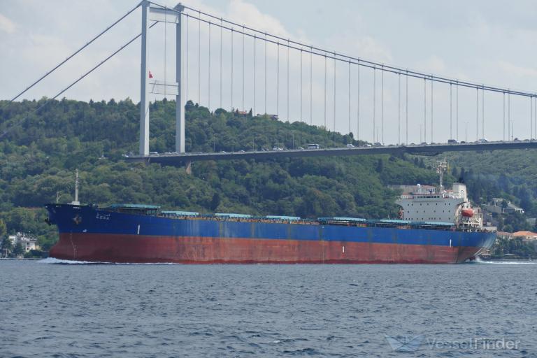 esna (Bulk Carrier) - IMO 9139268, MMSI 622120320, Call Sign SSLZ under the flag of Egypt