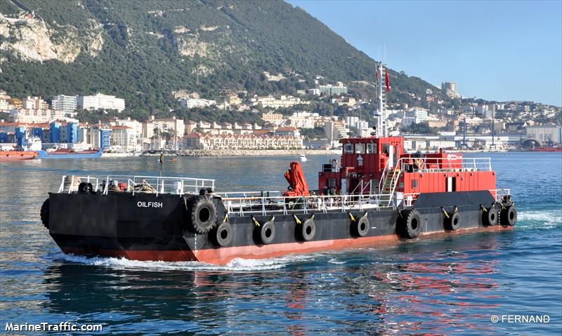 oilfish (Tanker) - IMO 8903612, MMSI 236111602, Call Sign ZDJJ7 under the flag of Gibraltar