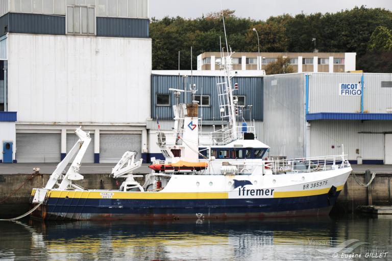 fv thalia (Fishing Support Vessel) - IMO 7700013, MMSI 227270000, Call Sign FPCS under the flag of France