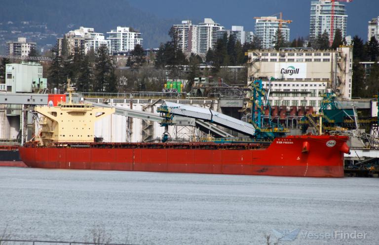 panfreesya (Bulk Carrier) - IMO 9444247, MMSI 351690000, Call Sign H3BC under the flag of Panama