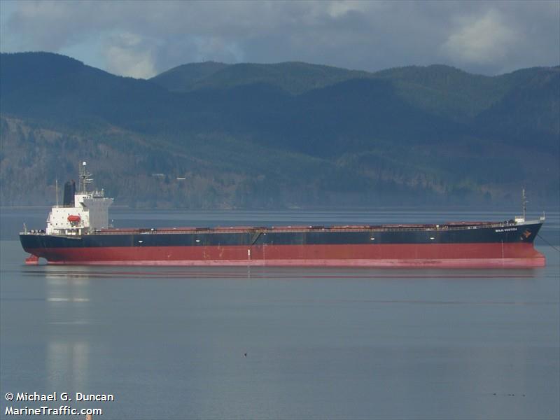 cape infinity (Bulk Carrier) - IMO 9437270, MMSI 353877000, Call Sign 3FQD2 under the flag of Panama