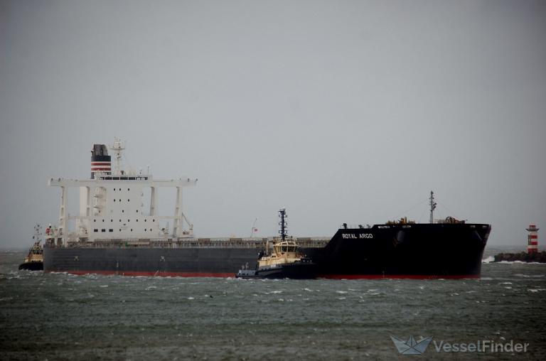 royal argo (Bulk Carrier) - IMO 9860489, MMSI 357899000, Call Sign 3FFJ9 under the flag of Panama