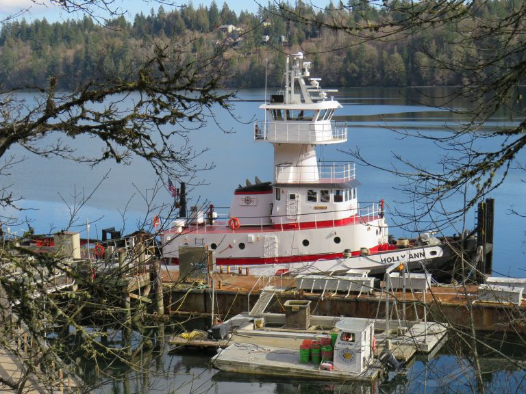 holly ann (Towing vessel) - IMO , MMSI 367413350, Call Sign WDE9094 under the flag of United States (USA)