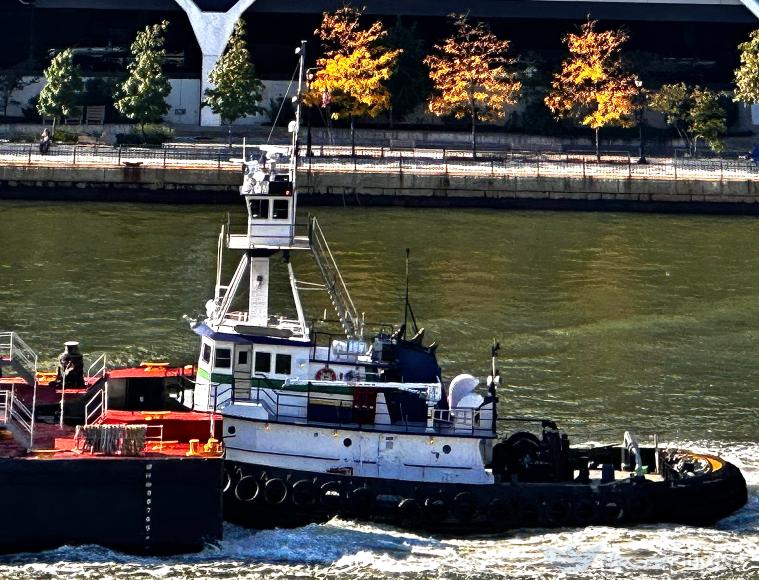 brooklyn (Pusher Tug) - IMO 9265718, MMSI 368012560, Call Sign WDJ8046 under the flag of United States (USA)