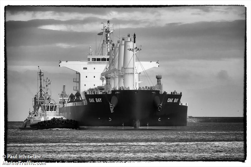 oak bay (Bulk Carrier) - IMO 9652557, MMSI 477832900, Call Sign VRMA2 under the flag of Hong Kong