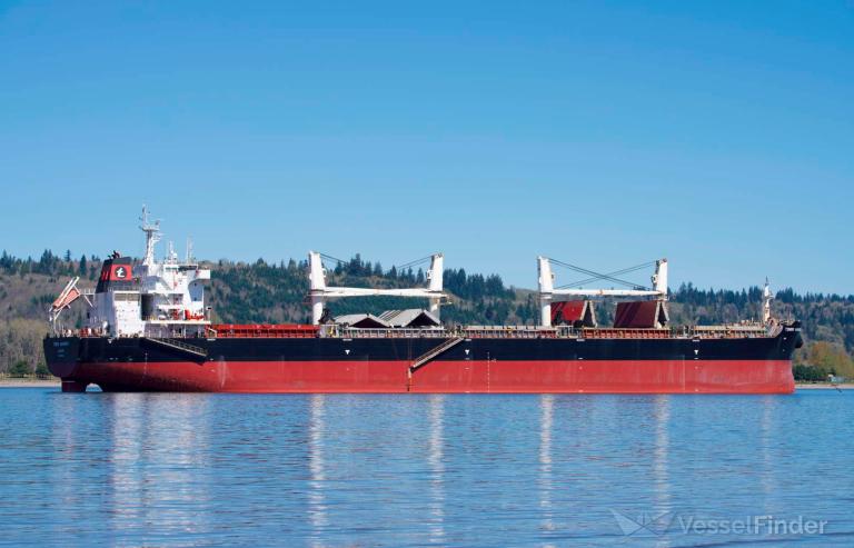 tomini harmony (Bulk Carrier) - IMO 9718131, MMSI 538006509, Call Sign V7NV5 under the flag of Marshall Islands