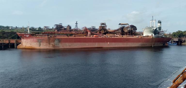 rio caroni (Self Discharging Bulk Carrier) - IMO 8204456, MMSI 775331000, Call Sign YYGK under the flag of Venezuela