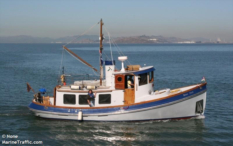 brave duck (Pleasure craft) - IMO , MMSI 338107293 under the flag of USA