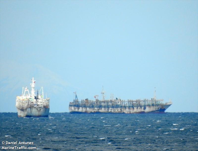fuyuanyu8646 (Fishing Vessel) - IMO 9934589, MMSI 412549375 under the flag of China
