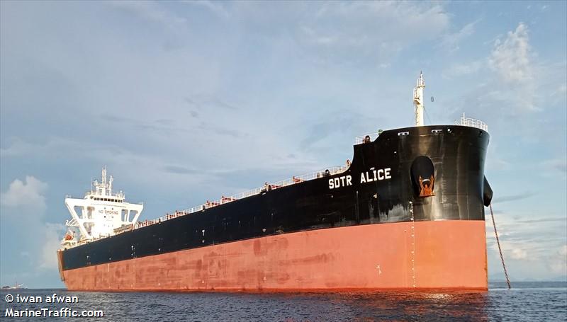 sdtr alice (Bulk Carrier) - IMO 9877834, MMSI 538009340, Call Sign V7A4615 under the flag of Marshall Islands