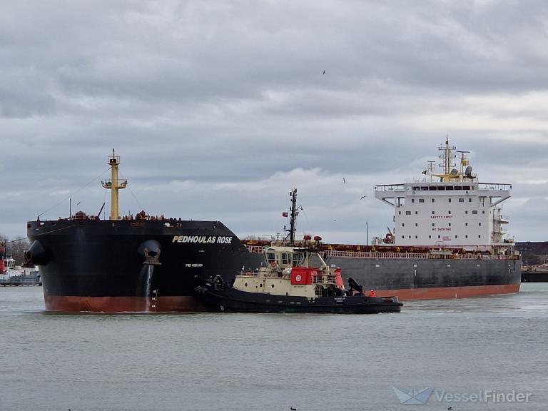 pedhoulas rose (Bulk Carrier) - IMO 9738038, MMSI 210093000, Call Sign 5BLY4 under the flag of Cyprus