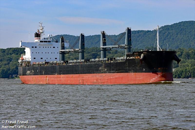 atlantic elm (Bulk Carrier) - IMO 9558244, MMSI 229081000, Call Sign 9HA3054 under the flag of Malta