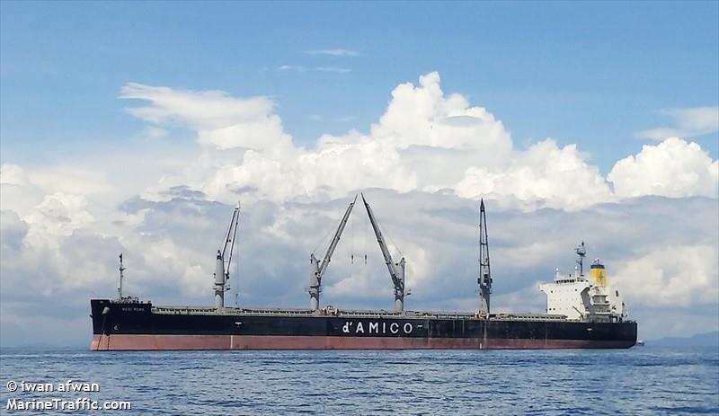 medi roma (Bulk Carrier) - IMO 9789908, MMSI 253246000, Call Sign LXMR under the flag of Luxembourg
