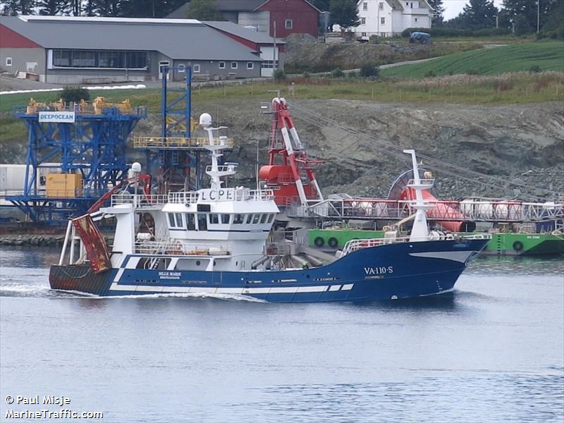 sille marie (Fishing Vessel) - IMO 9222390, MMSI 259893000, Call Sign LCPE under the flag of Norway