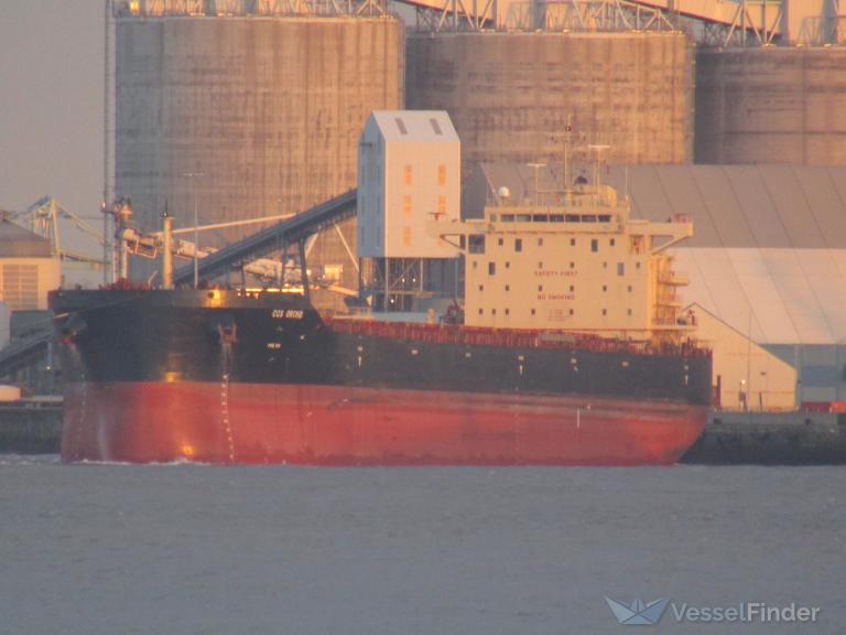 agri grande (Bulk Carrier) - IMO 9718997, MMSI 351090000, Call Sign 3FXC8 under the flag of Panama