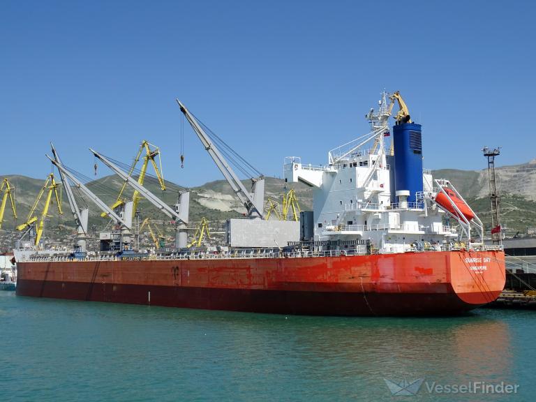 amis orchid (Bulk Carrier) - IMO 9520649, MMSI 353892000, Call Sign H8OU under the flag of Panama