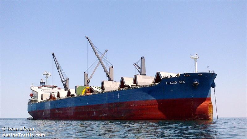 placid sea (Bulk Carrier) - IMO 9285110, MMSI 354879000, Call Sign H8UT under the flag of Panama