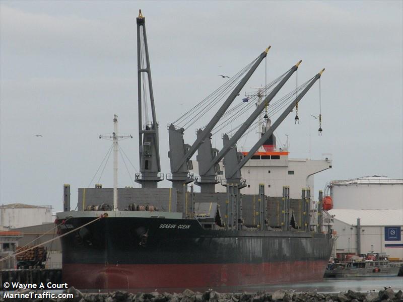 serene ocean (Bulk Carrier) - IMO 9864980, MMSI 371163000, Call Sign 3FOE9 under the flag of Panama