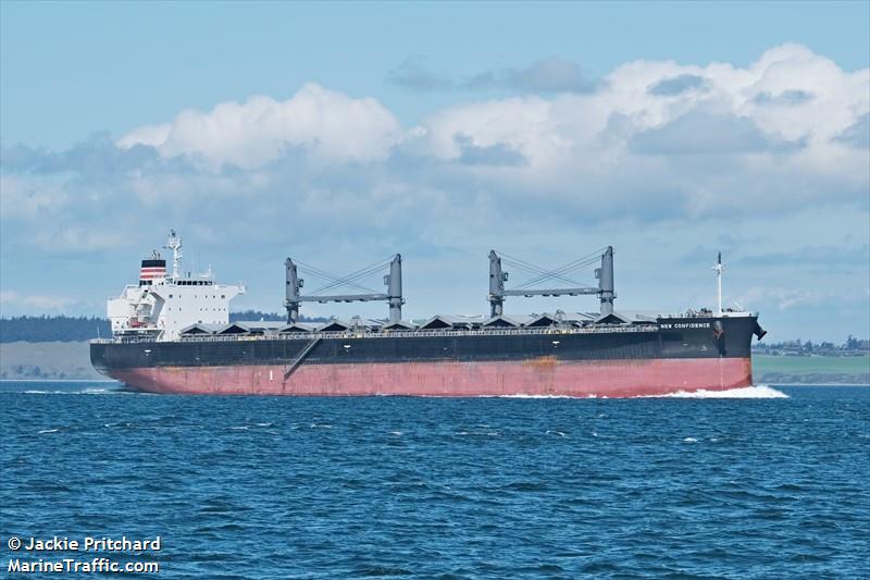 new confidence (Bulk Carrier) - IMO 9811529, MMSI 371429000, Call Sign 3FDO6 under the flag of Panama