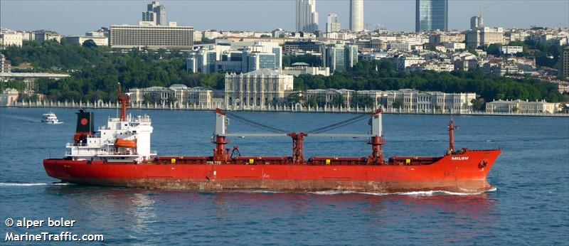 rek king (Bulk Carrier) - IMO 9085895, MMSI 374377000, Call Sign H3IV under the flag of Panama