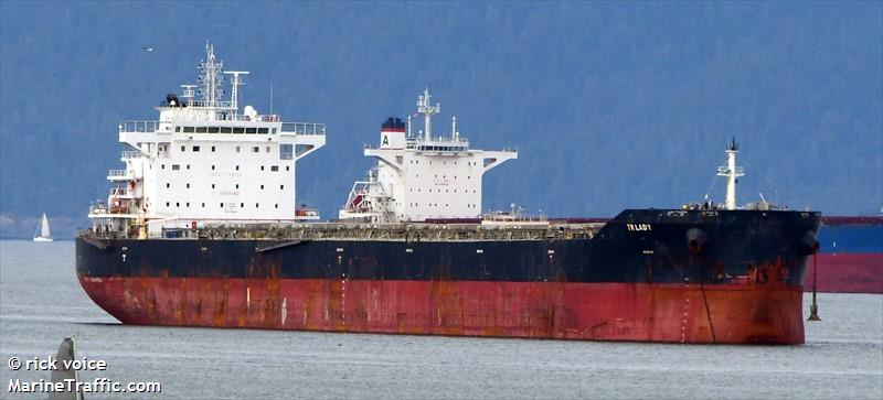 tr lady (Bulk Carrier) - IMO 9720926, MMSI 538007011, Call Sign V7UN6 under the flag of Marshall Islands