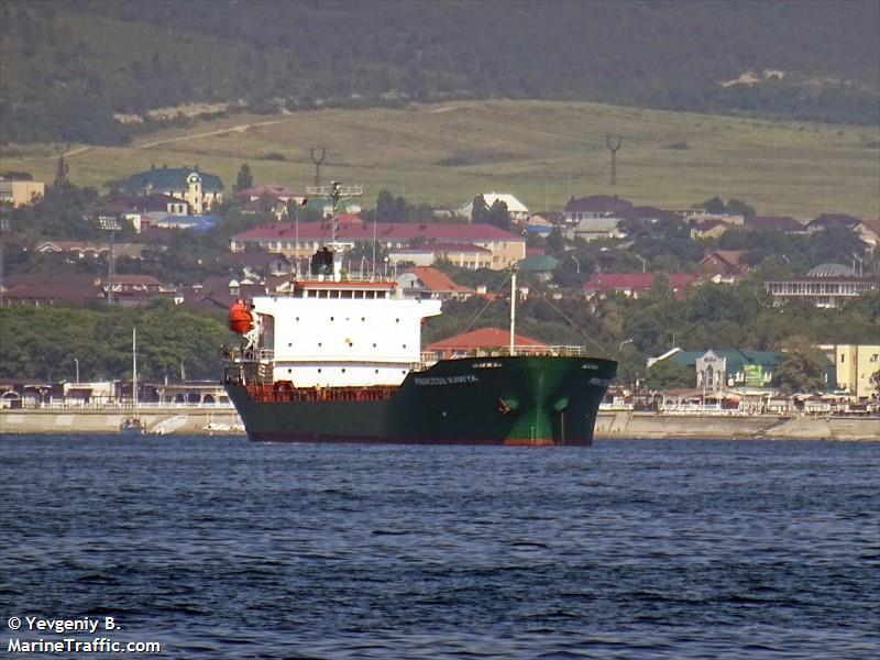 princess rawya (Aggregates Carrier) - IMO 9119907, MMSI 667001769, Call Sign 9LU2572 under the flag of Sierra Leone