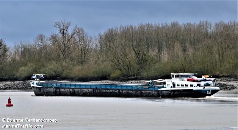 querida (Cargo ship) - IMO , MMSI 205536790, Call Sign OT5367 under the flag of Belgium
