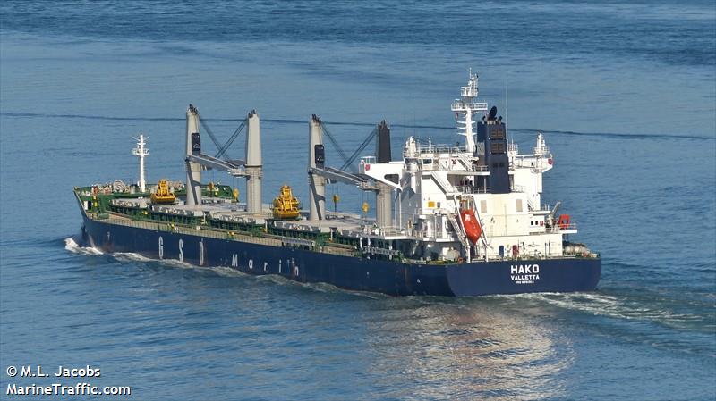 hako (Bulk Carrier) - IMO 9691814, MMSI 229697000, Call Sign 9HA3527 under the flag of Malta