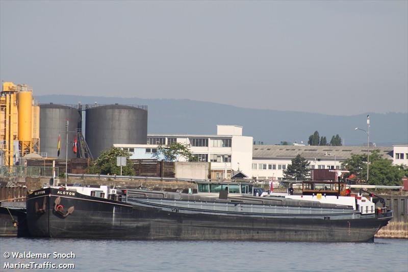 alcyon (Cargo ship) - IMO , MMSI 244700733, Call Sign PG8877 under the flag of Netherlands